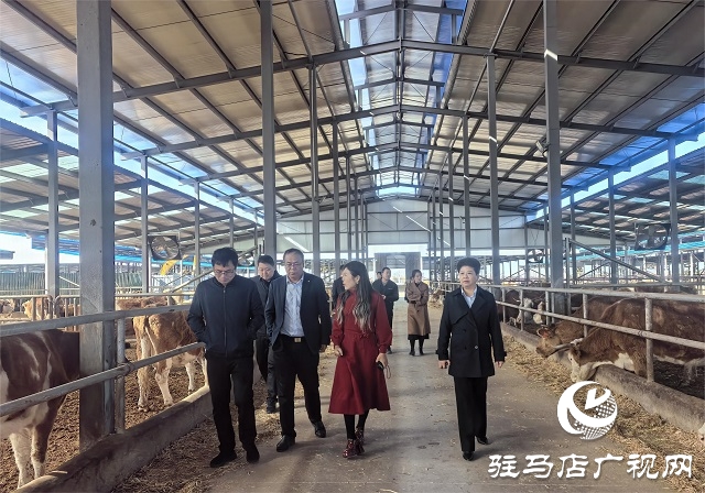 金融助力譜新篇 深耕天中再啟航——工行駐馬店分行“十四五”期間服務(wù)地方經(jīng)濟(jì)社會發(fā)展綜述